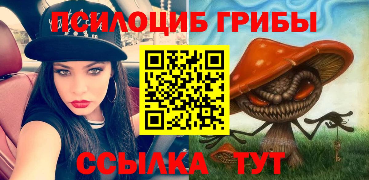 Галлюциногенные грибы Cubensis Черкесск